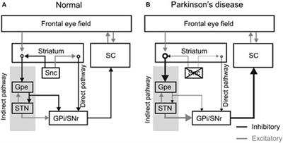 Effects of Deep Brain Stimulation on Eye Movements and Vestibular Function